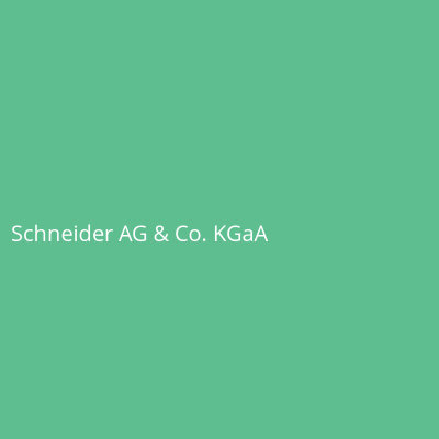 Schneider AG &amp; Co. KGaA