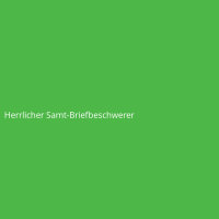 Herrlicher Samt-Briefbeschwerer