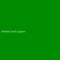Adretter Samt-Lappen