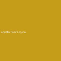 Adretter Samt-Lappen